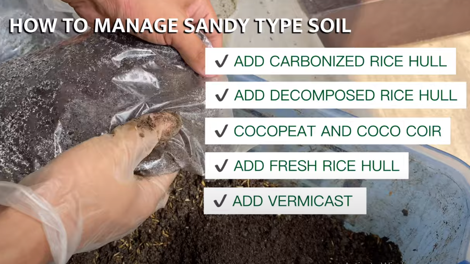 How to manage sandy type soil
