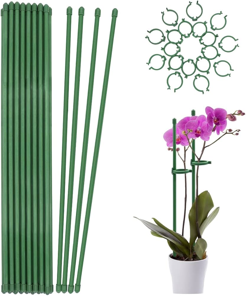 Best Plant Stakes for Indoor Plants  