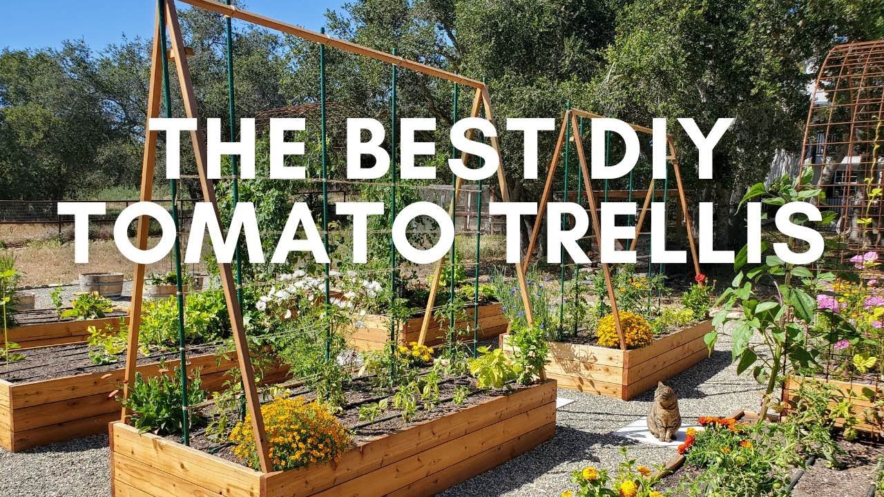 Best Garden Stakes for Tomatoes  